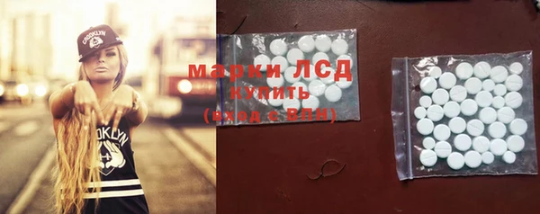 СК Елабуга