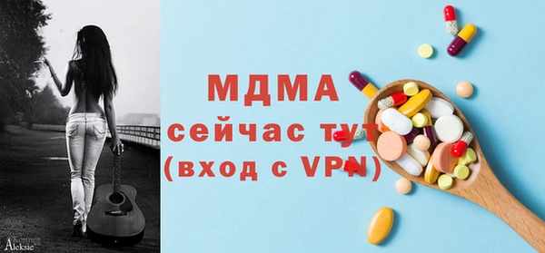 индика Заволжье