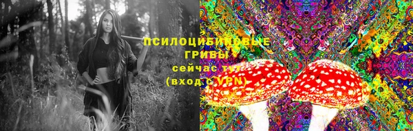2c-b Елизово