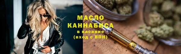 индика Заволжье