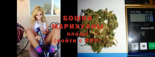 твердый Заводоуковск