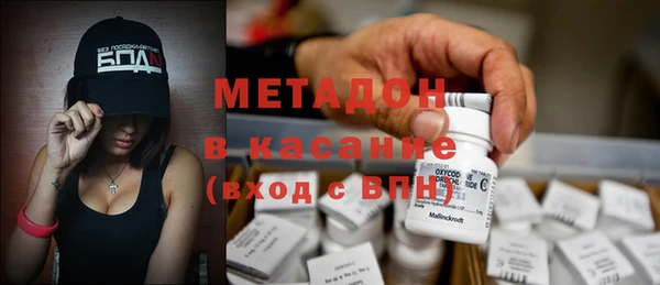 индика Заволжье