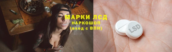 индика Заволжье