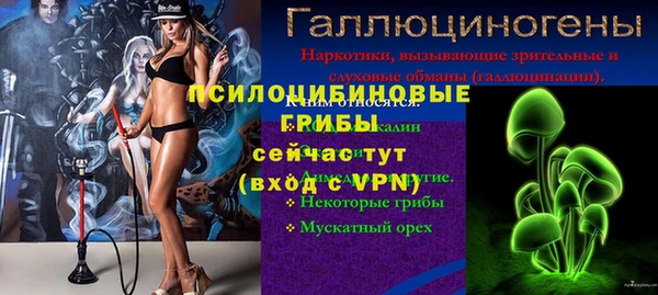 2c-b Елизово