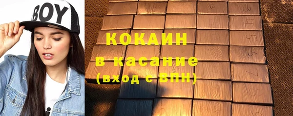 твердый Заводоуковск