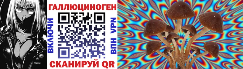 Псилоцибиновые грибы GOLDEN TEACHER  Рудня 